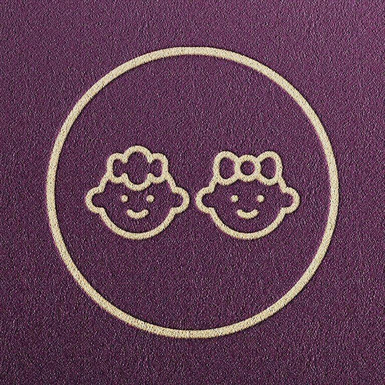 Icon for Gender Reveal